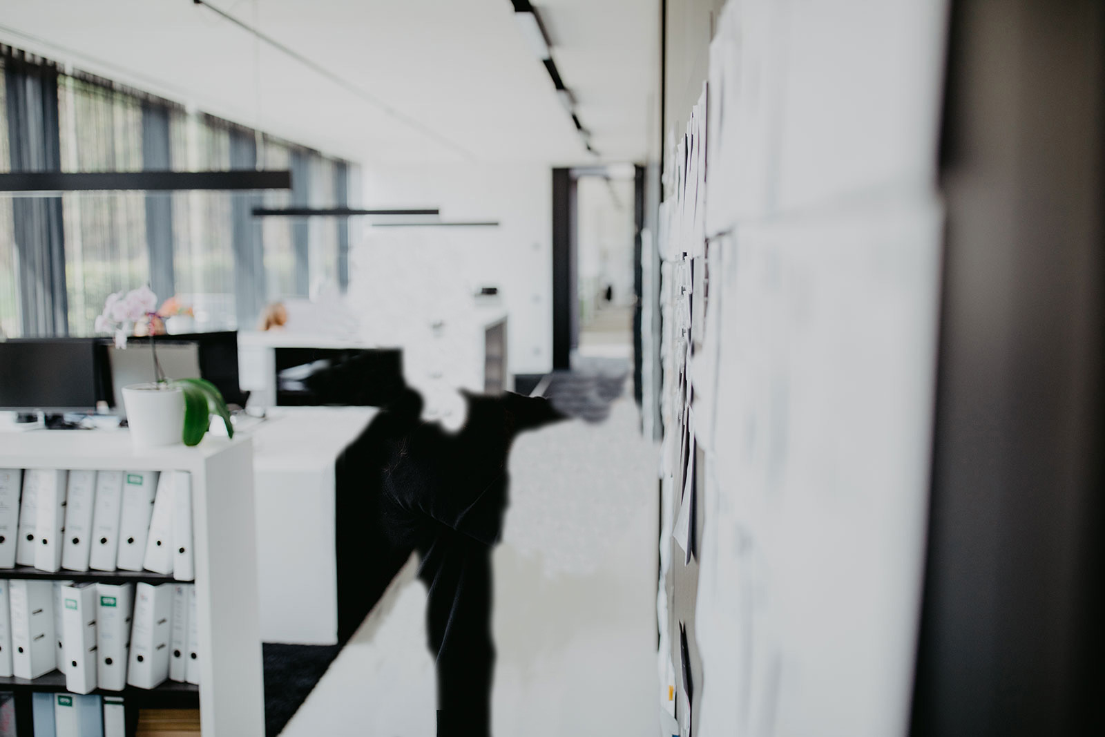 HSP Projektmanagement Töging a. Inn